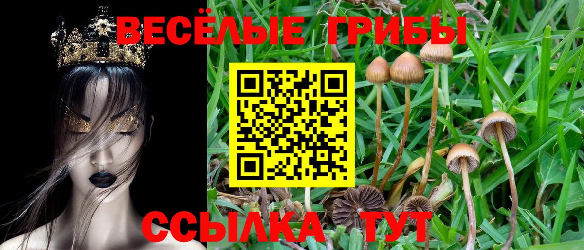 Псилоцибиновые грибы Magic Shrooms Донской