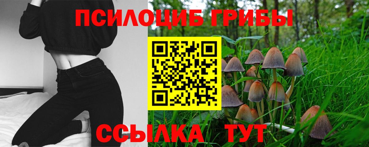 Донской  Галлюциногенные грибы GOLDEN TEACHER  Вход с VPN  Галлюциногенные грибы мицелий 